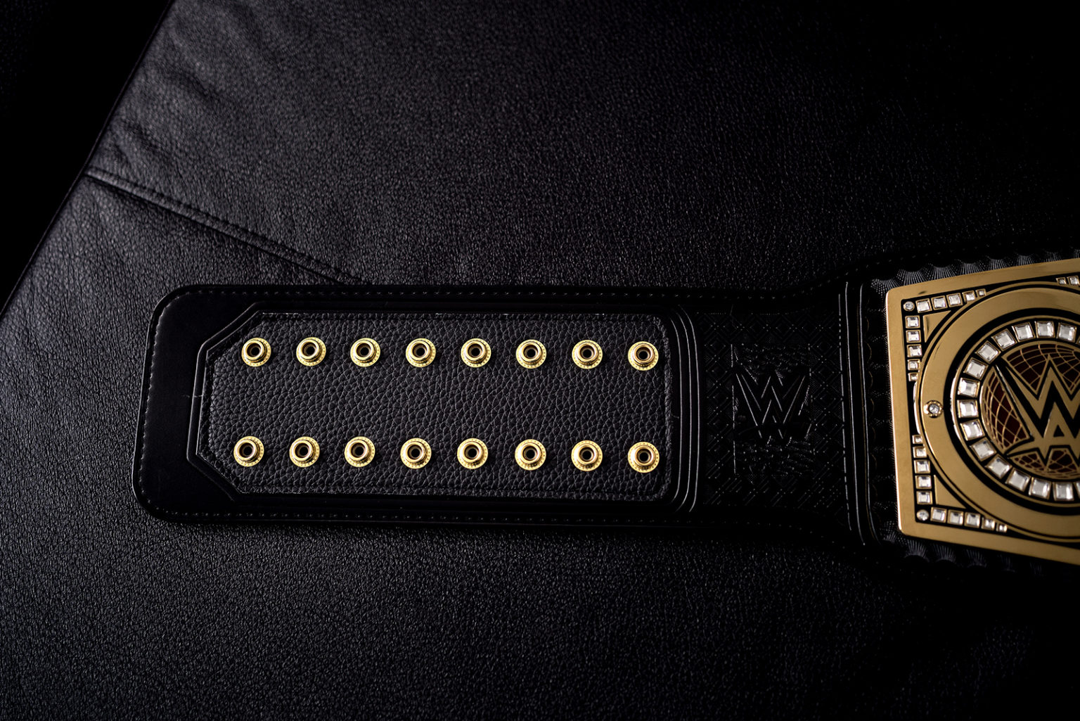 IMAGE: https://www.photosbydlee.com/wp-content/uploads/2020/07/Belt-Strap-1536x1025.jpg